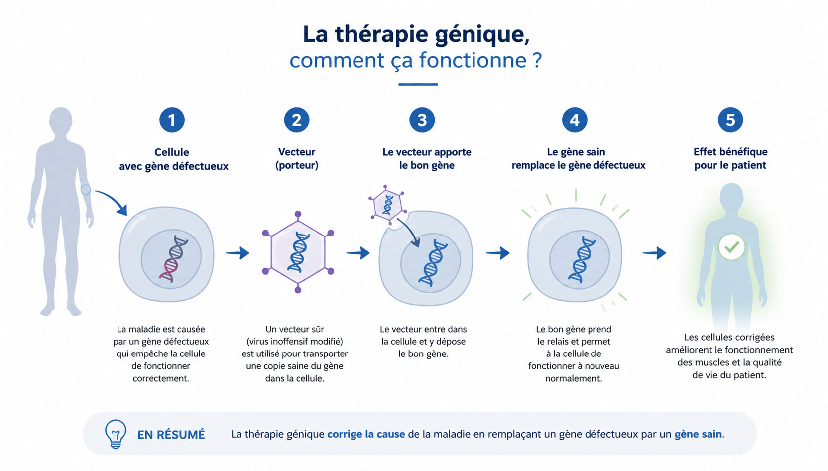 thérapie génique schéma pédagogique simplifié